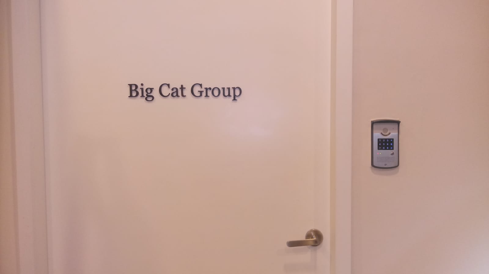 Big Cat Group