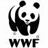 wsd_Logo01