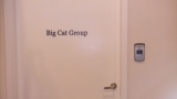 Big Cat Group