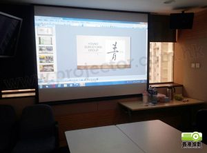 The Hong Kong Institute of Surveyors