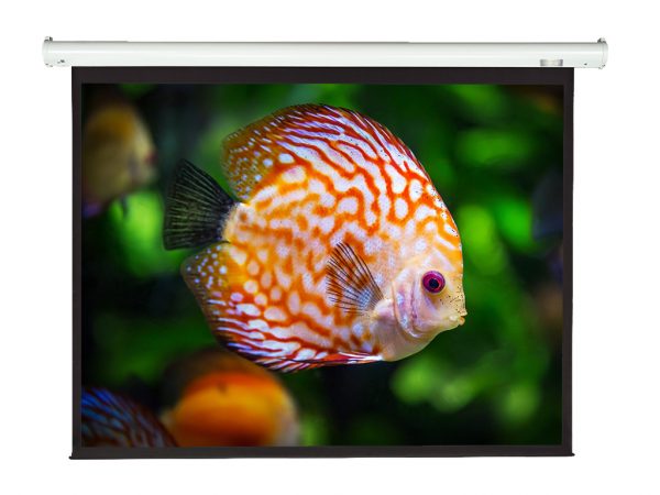 AOV 50x50吋 1:1 Electric Screen 電動投影幕