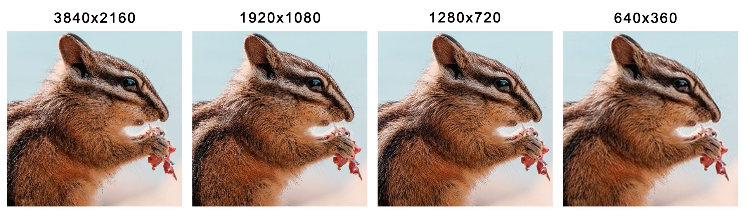 精明眼：選購投影機，【支援最高解像度】不等於【實際解像度】？ - 香港投影