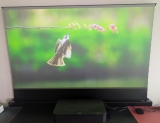 VIVIDSTORM S-Pro 100inch 黑柵抗光電動地升投影幕