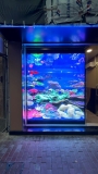 LED wall / Installation Service